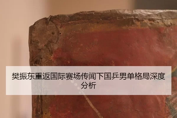 fan-zhen-dong-chong-fan-guo-ji-sai-chang-chuan-wen-xia-guo-ping-nan-dan-ge-ju-shen-du-fen-xi-2-264.jpg